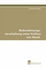 Wahrnehmungs- verarbeitung unter Einfluss von Musik