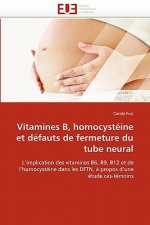 Vitamines b, homocysteine et defauts de fermeture du tube neural