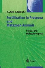 Fertilization in Protozoa and Metazoan Animals