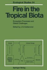 Fire in the Tropical Biota