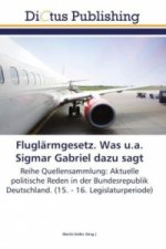 Fluglarmgesetz. Was u.a. Sigmar Gabriel dazu sagt