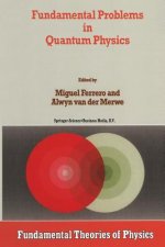 Fundamental Problems in Quantum Physics
