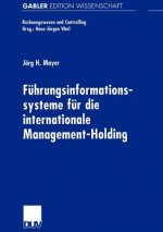Fuhrungsinformationssysteme fur die Internationale Management-Holding