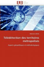 Teledetection des territoires metropolises
