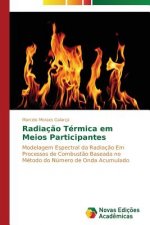 Radiacao Termica em Meios Participantes