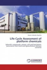 Life Cycle Assessment of platform chemicals