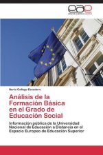 Analisis de La Formacion Basica En El Grado de Educacion Social