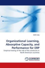 Organizational Learning, Absorptive Capacity, and Performance for ERP