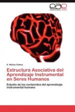 Estructura Asociativa del Aprendizaje Instrumental En Seres Humanos