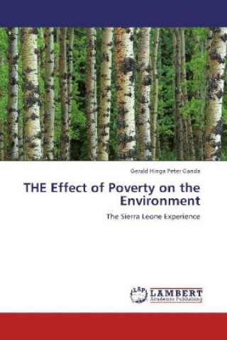 THE Effect of Poverty on the Environment