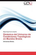 Dinamica del Universo de Condiciones Topologicas en Mundos Brana