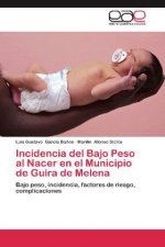 Incidencia del Bajo Peso al Nacer en el Municipio de Guira de Melena