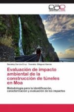 Evaluación de impacto ambiental de la construcción de túneles en Moa
