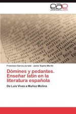 Domines y pedantes. Ensenar latin en la literatura espanola