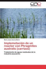 Implemetacion de un reactor con Phragmites australis (carrizos)