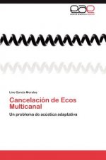 Cancelacion de Ecos Multicanal