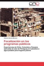Focalizacion en los programas publicos