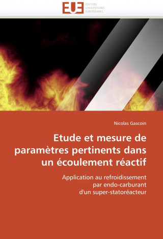 Etude et mesure de parametres pertinents dans un ecoulement reactif