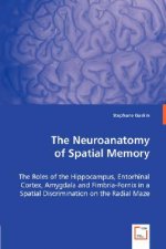 Neuroanatomy of Spatial Memory