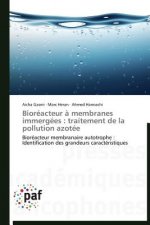 Bioreacteur A Membranes Immergees