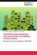 Perfil Socioeconomico-Territorial De Los Nodos Comerciales