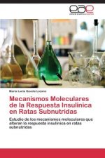 Mecanismos Moleculares de la Respuesta Insulinica en Ratas Subnutridas