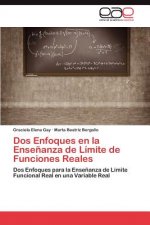 Dos Enfoques en la Ensenanza de Limite de Funciones Reales