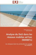 Analyse Du DOS Dans Les R seaux Mobiles Ad Hoc (Manets)