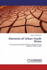 Elements of Urban Youth Stress