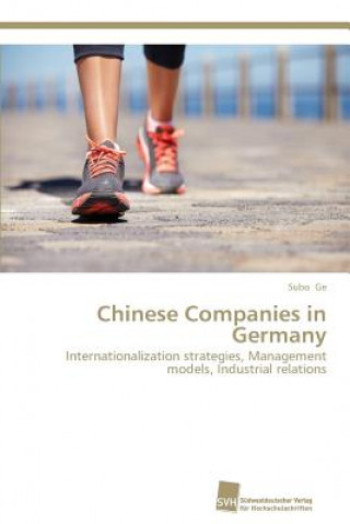 Chinese Companies in Germany