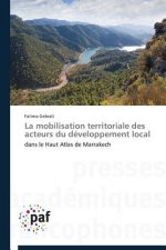 La Mobilisation Territoriale Des Acteurs Du Developpement Local