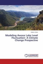 Modeling Awasa Lake Level Fluctuation: A Climate Change Prespective