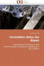 Incendies Dans Les Alpes
