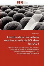 Identification Des Cellules Souches Et R le de Scl Dans Les Lal-T
