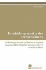 Entwicklungsaspekte des Rechnenlernens