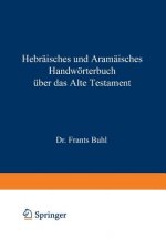 Hebr isches Und Aram isches Handw rterbuch  ber Das Alte Testament