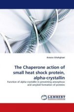 The Chaperone action of small heat shock protein, alpha-crystallin