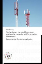 Techniques de Maillage Non Uniforme Dans La Methode Des Moments