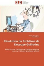 Resolution du probleme de decoupe guillotine
