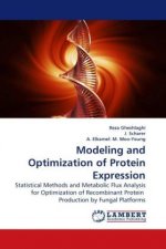 Modeling and Optimization of Protein Expression