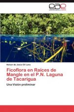 Ficoflora en Raices de Mangle en el P.N. Laguna de Tacarigua