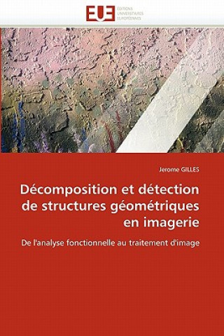 Decomposition et detection de structures geometriques en imagerie
