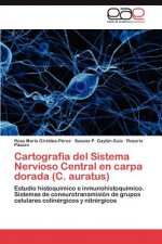 Cartografia del Sistema Nervioso Central En Carpa Dorada (C. Auratus)