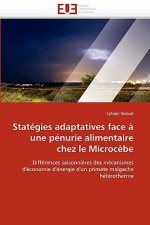 Stat gies Adaptatives Face   Une P nurie Alimentaire Chez Le Microc be