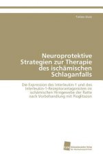 Neuroprotektive Strategien zur Therapie des ischamischen Schlaganfalls