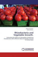 Rhizobacteria and Vegetable Growth.