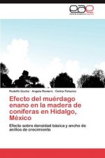Efecto del Muerdago Enano En La Madera de Coniferas En Hidalgo, Mexico
