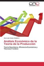 Analisis Economico de la Teoria de la Produccion