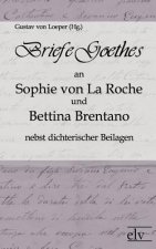 Briefe Goethes an Sophie von La Roche und Bettina Brentano nebst dichterischen Beilagen