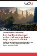 Santos indigenas